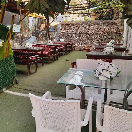 Garden Alis *