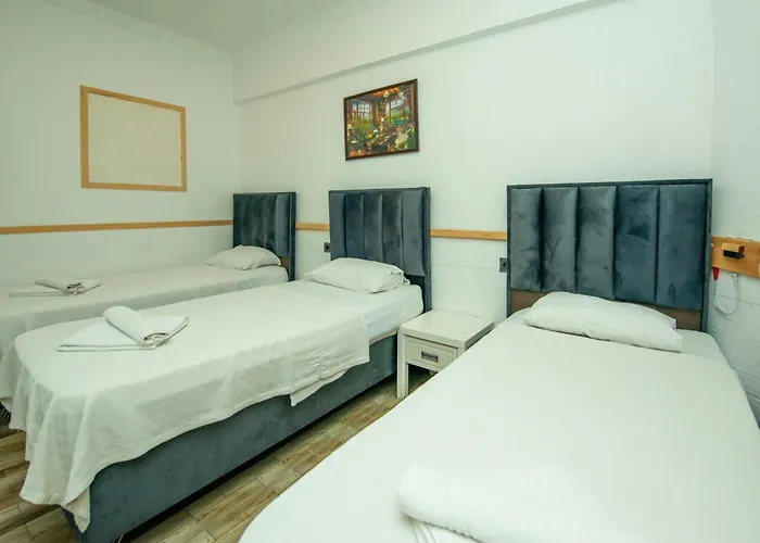 Hotel Alis
